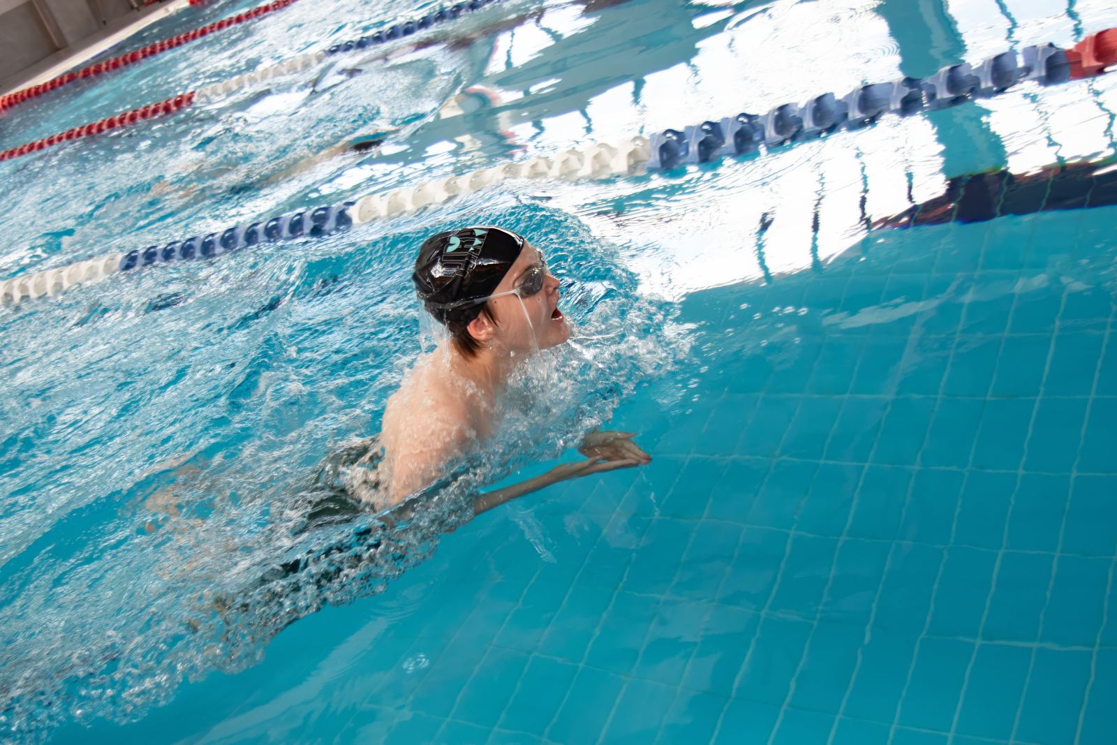 Piranha Swim School competition photos