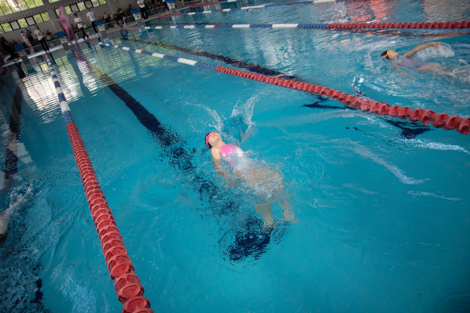 Piranha Swim School competition photos