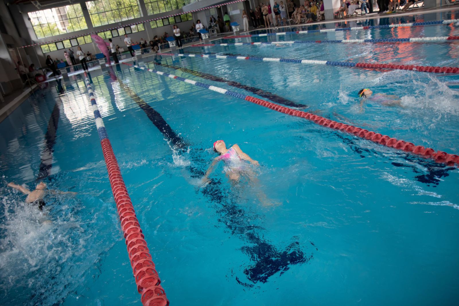 Piranha Swim School competition photos