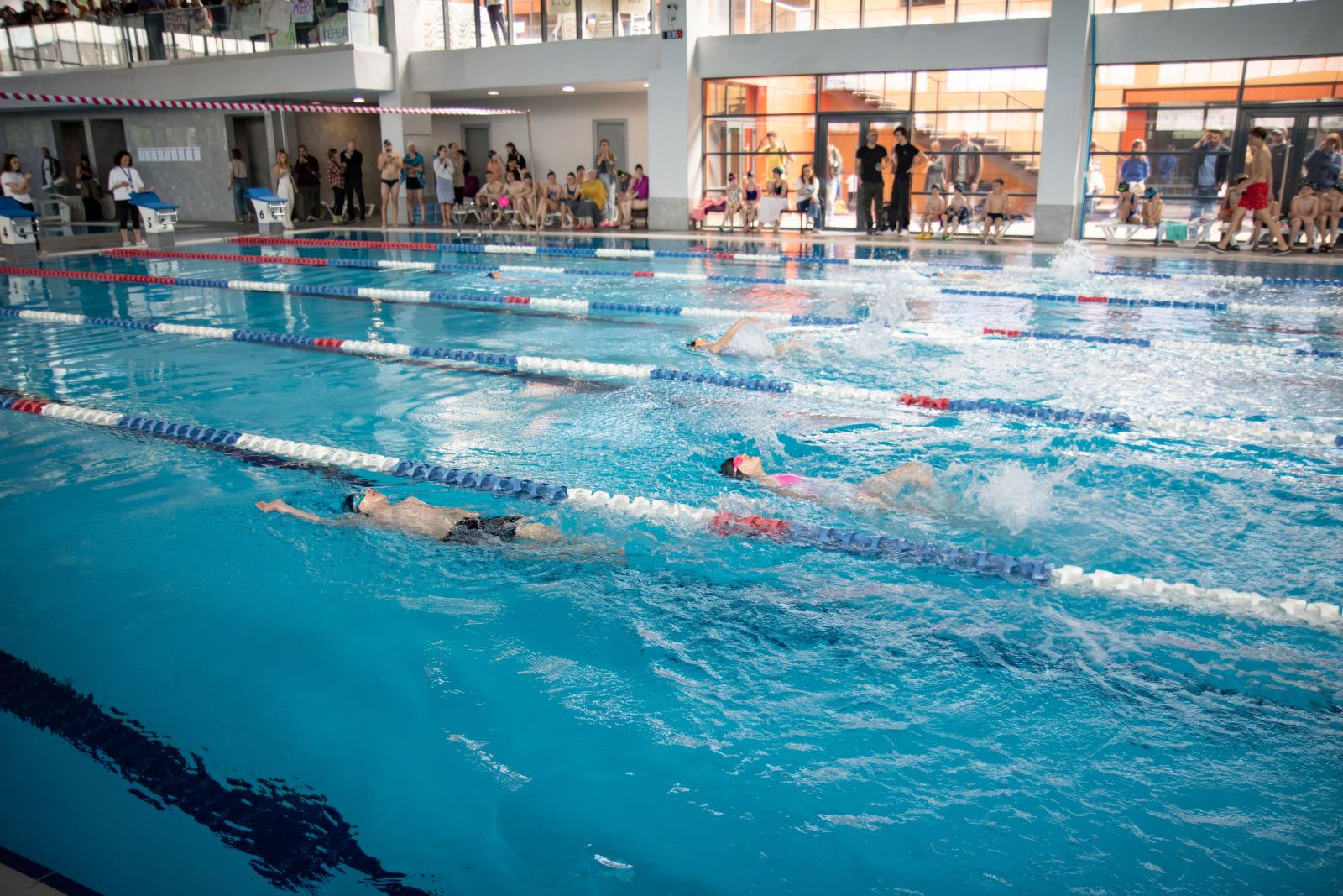 Piranha Swim School competition photos