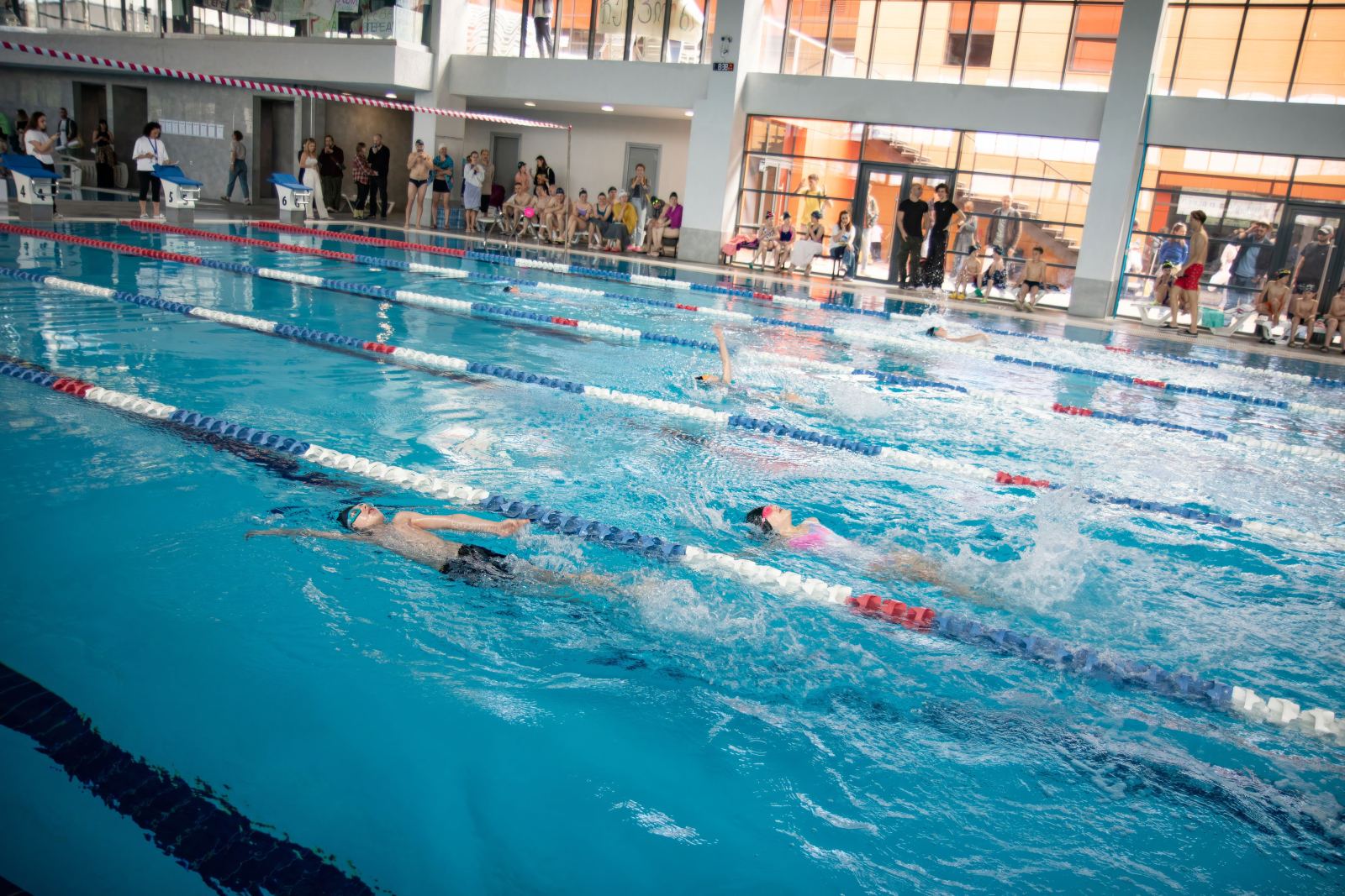 Piranha Swim School competition photos