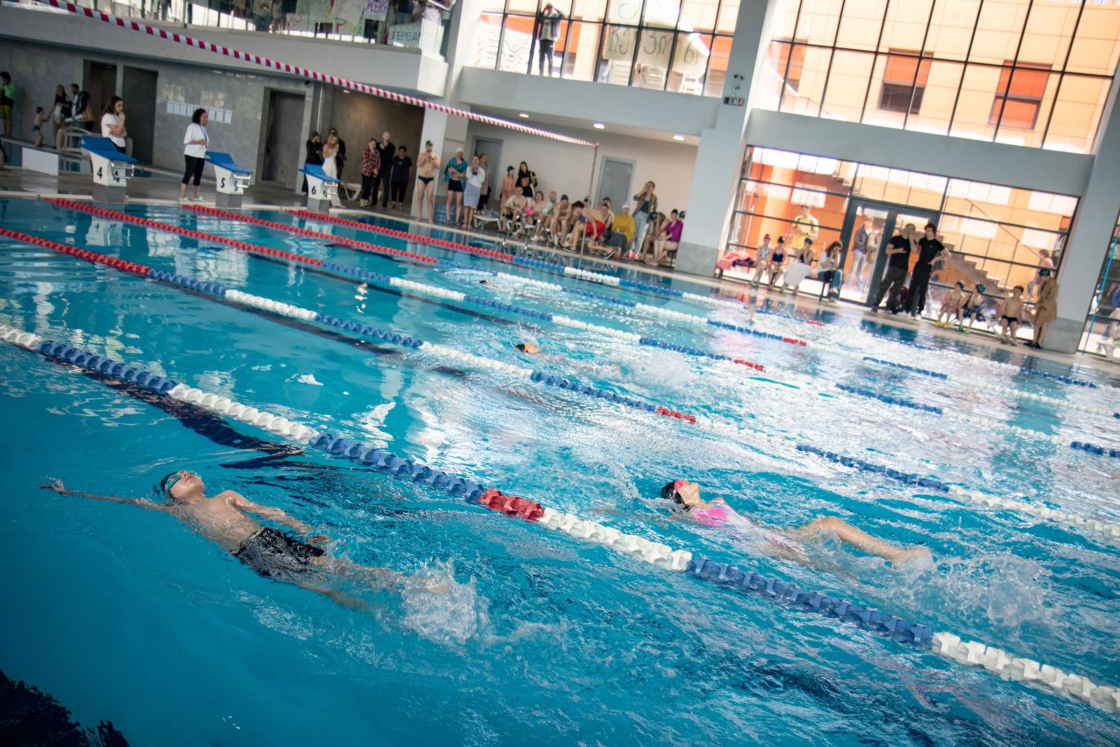 Piranha Swim School competition photos