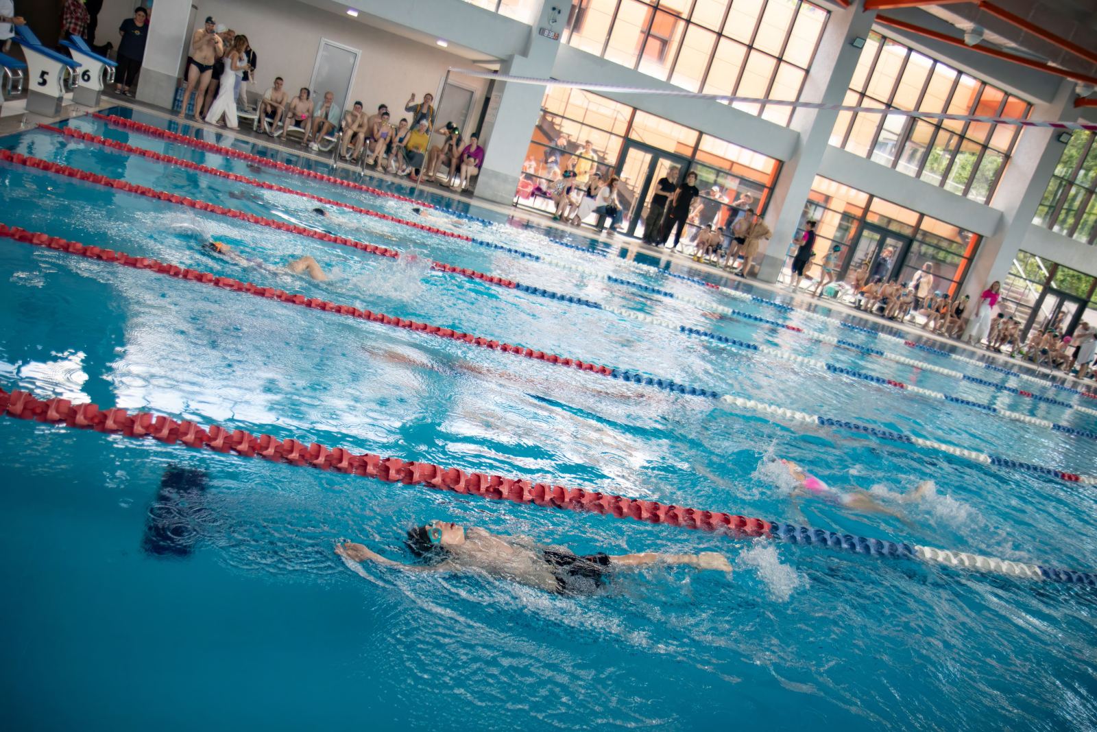 Piranha Swim School competition photos