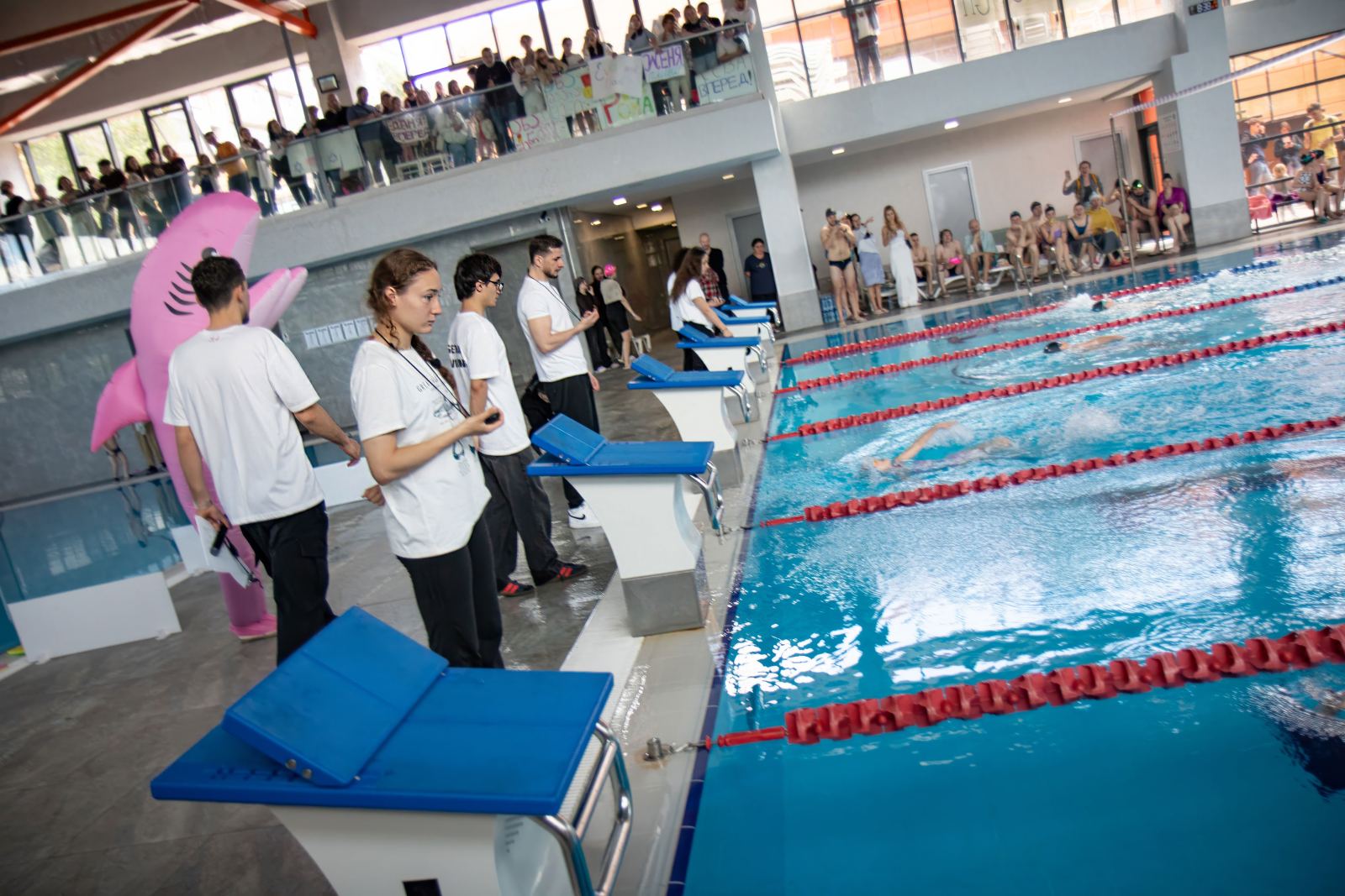 Piranha Swim School competition photos