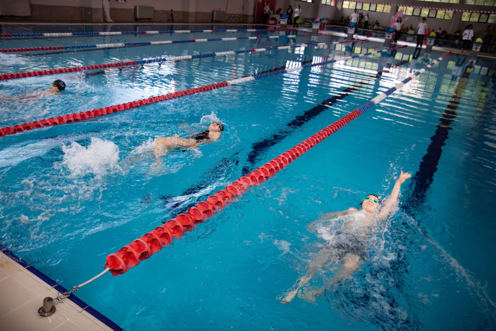 Piranha Swim School competition photos