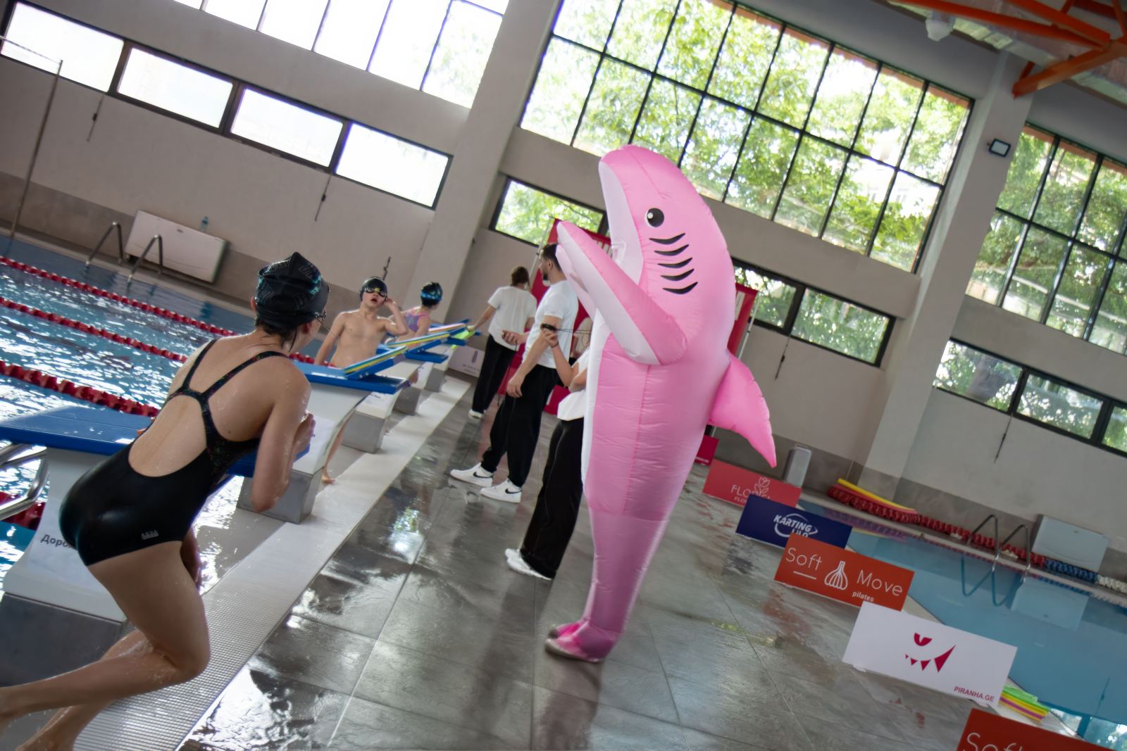 Piranha Swim School competition photos