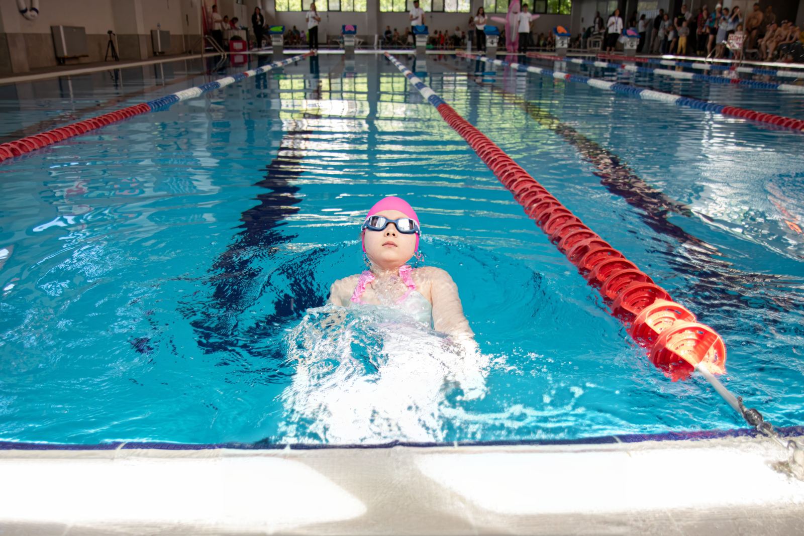 Piranha Swim School competition photos