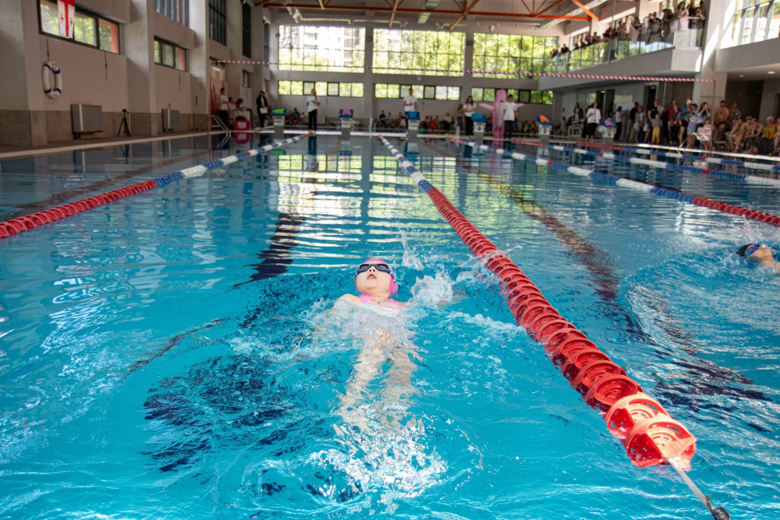 Piranha Swim School competition photos